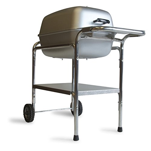 pk grill portable kitchen, best barbecue grills