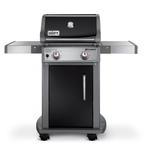 weber spirit, best grills